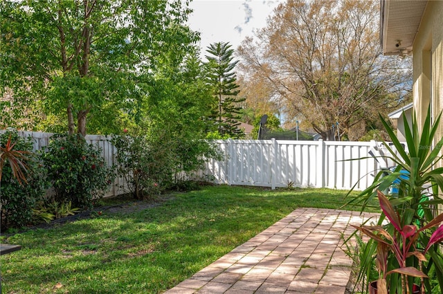 view of yard featuring a patio and a fenced backyard