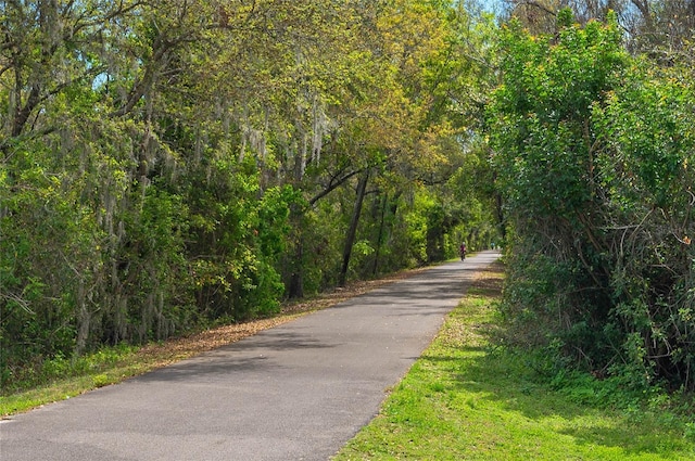 view of street featuring a forest view