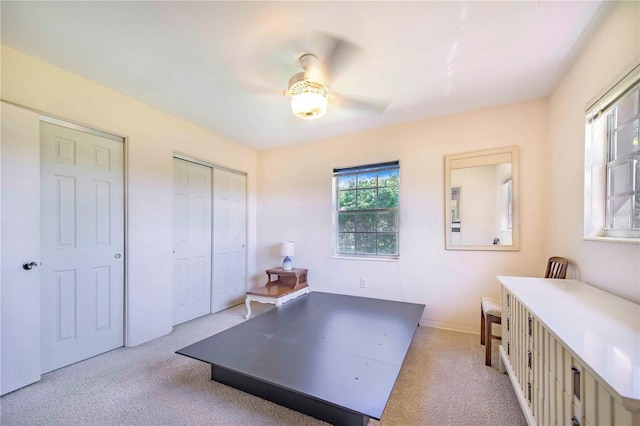 interior space with plenty of natural light and carpet