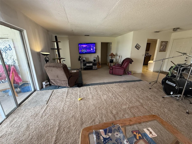 carpeted living area with a textured ceiling