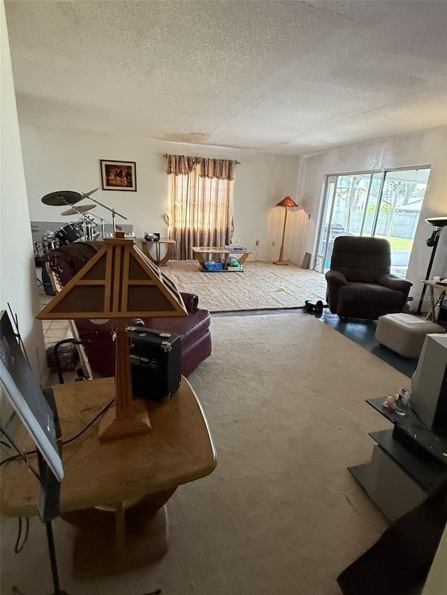 carpeted living area featuring a textured ceiling