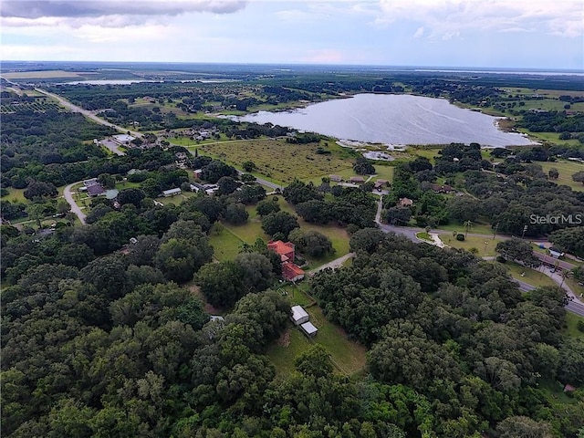 aerial view with a water view and a wooded view