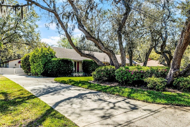 view of property hidden behind natural elements featuring concrete driveway, a front yard, and fence