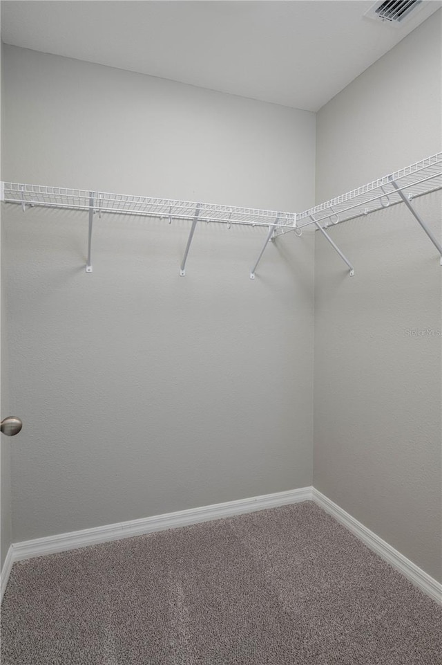 walk in closet featuring carpet flooring