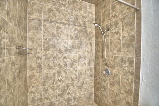 interior details with tiled shower