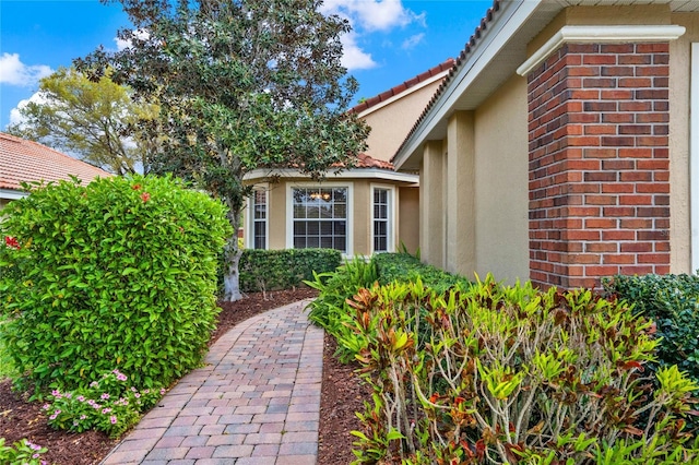 doorway to property featuring stucco siding