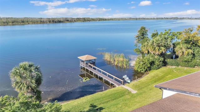 dock area with a water view