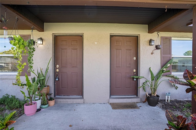 doorway to property featuring stucco siding