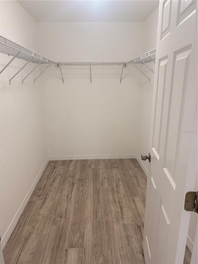 spacious closet featuring wood finished floors