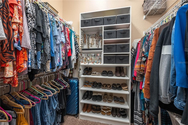 spacious closet featuring carpet