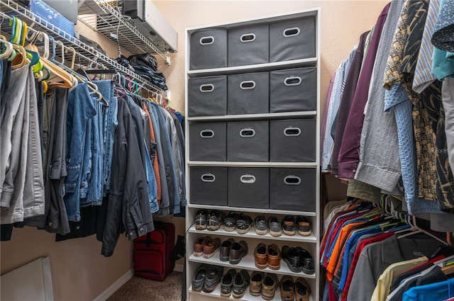 spacious closet featuring carpet