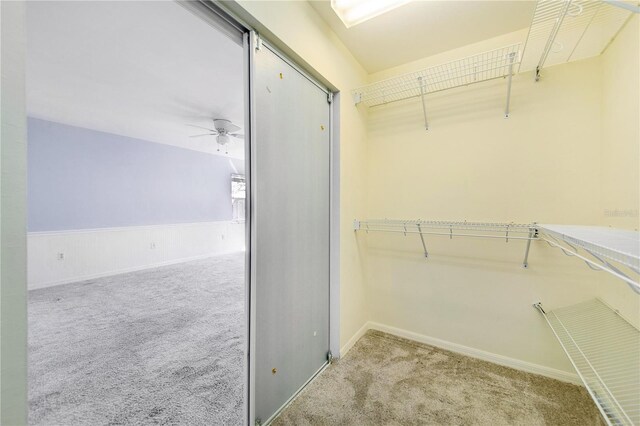 spacious closet with carpet floors and ceiling fan