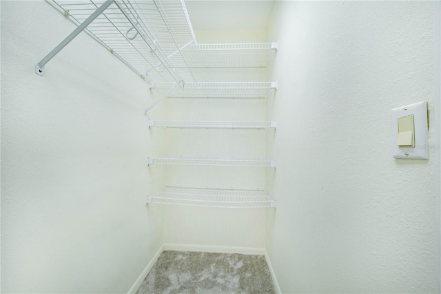 spacious closet with carpet flooring