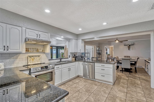 kitchen featuring under cabinet range hood, a sink, stainless steel appliances, a peninsula, and decorative backsplash