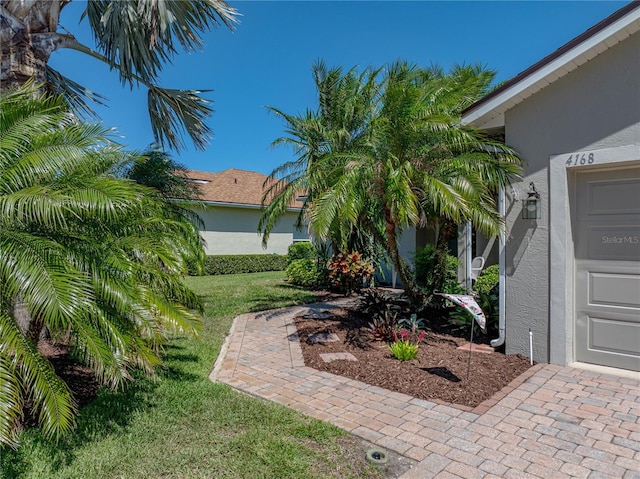 view of yard featuring decorative driveway