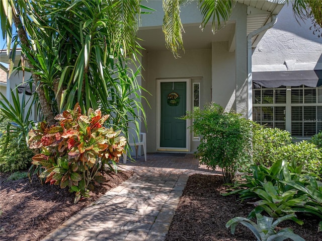 doorway to property with stucco siding