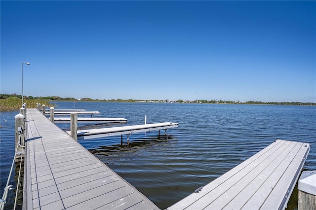 dock area with a water view