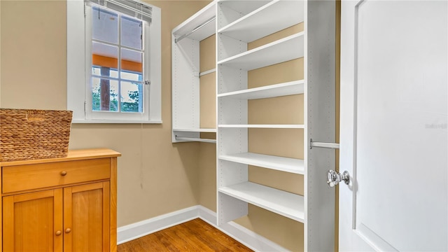 walk in closet featuring wood finished floors