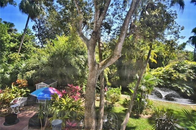 view of yard with an outbuilding