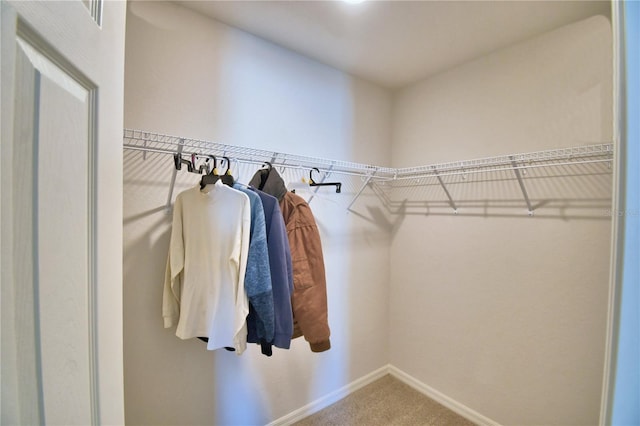 spacious closet featuring carpet floors