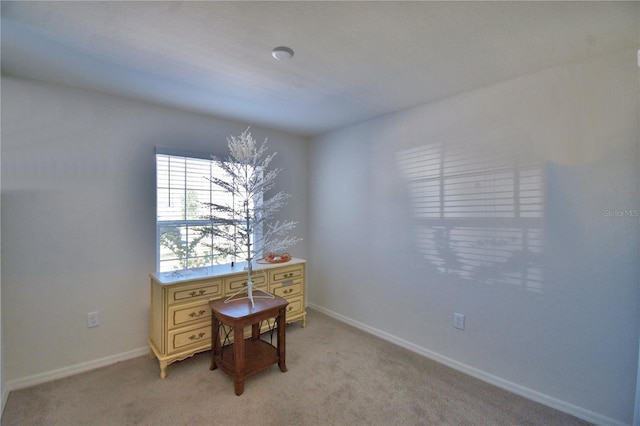 office area featuring light colored carpet and baseboards