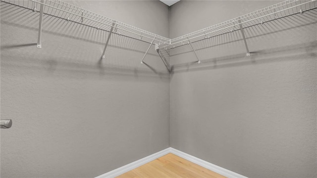 spacious closet with light wood-style flooring