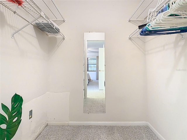 spacious closet featuring carpet