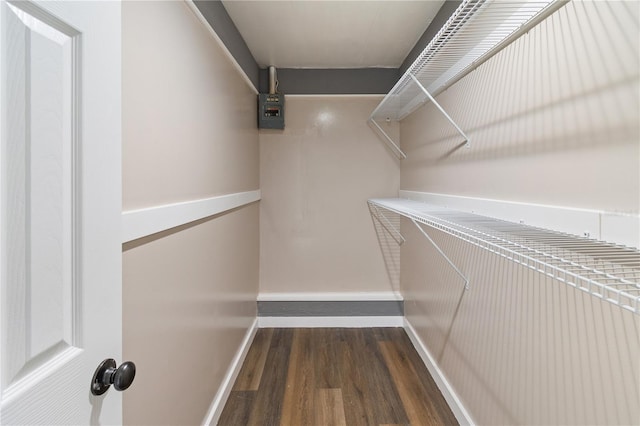 spacious closet featuring wood finished floors