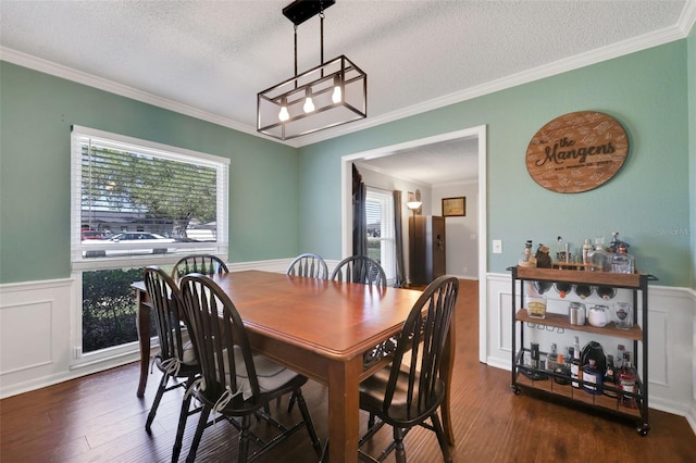 dining room featuring a wealth of natural light, a wainscoted wall, a textured ceiling, and wood finished floors