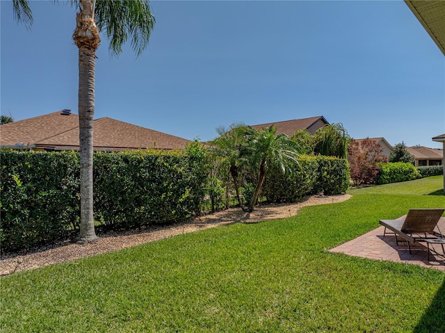view of yard featuring a patio