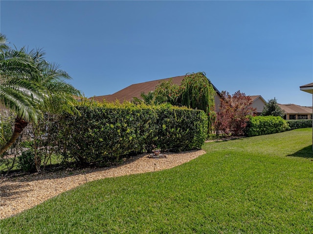 view of yard