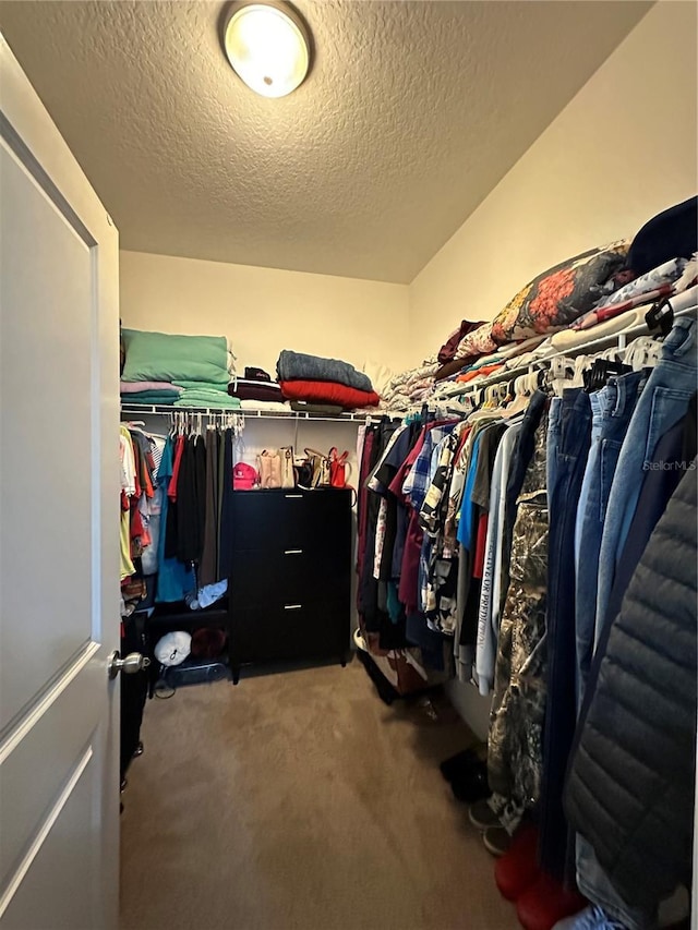 spacious closet featuring carpet floors