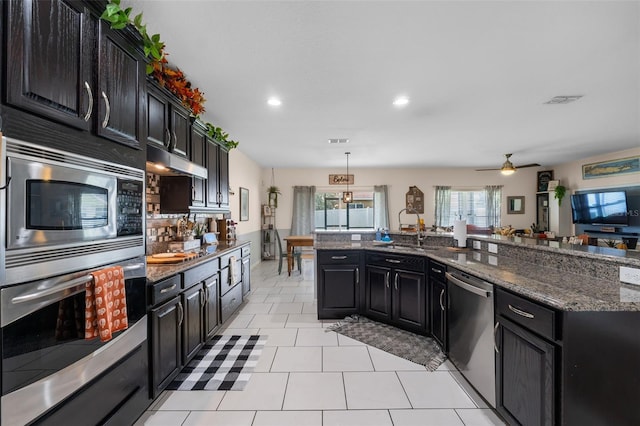 kitchen featuring a sink, stainless steel appliances, under cabinet range hood, and dark cabinets
