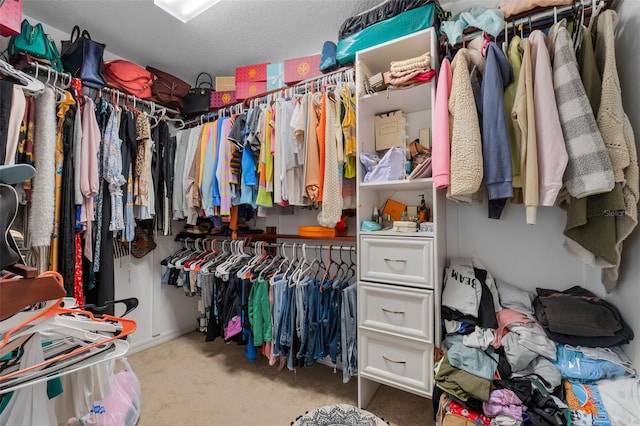 spacious closet featuring carpet