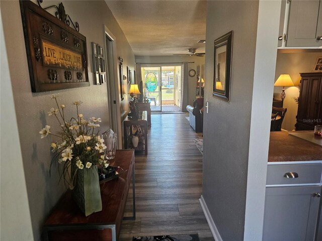 4529 Mercado Dr, Sebring, FL 33872 - hall with dark wood finished floors, baseboards, and a textured wall