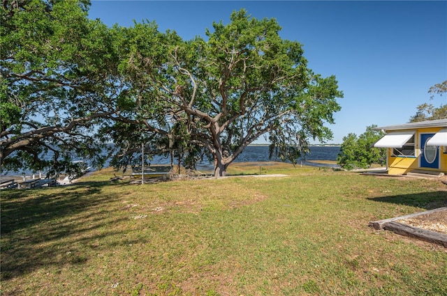 225 Wes Mann Rd, Babson Park, FL 33827 - view of yard