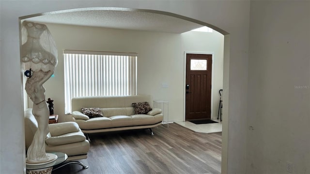 247 Cobalt Dr, Kissimmee, FL 34758 - living room featuring arched walkways and wood finished floors