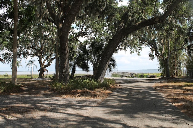 Lemon Dr, Lake Wales, FL 33898 - photo 17