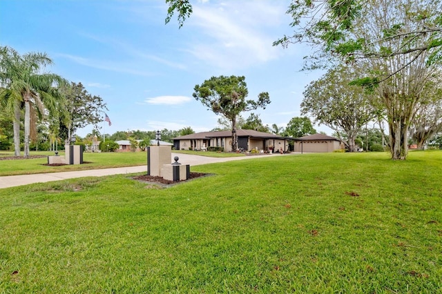 view of yard featuring driveway
