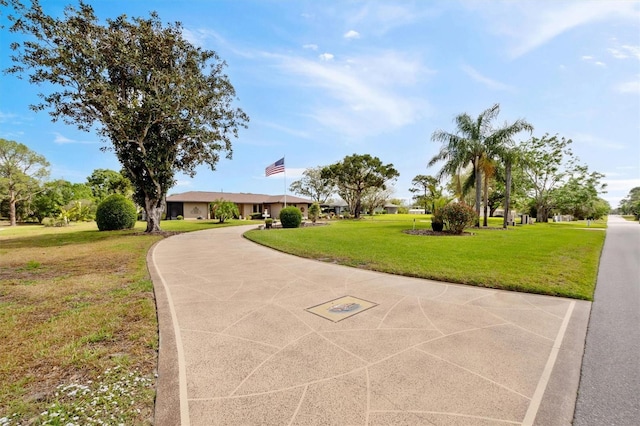 view of community with curved driveway and a yard