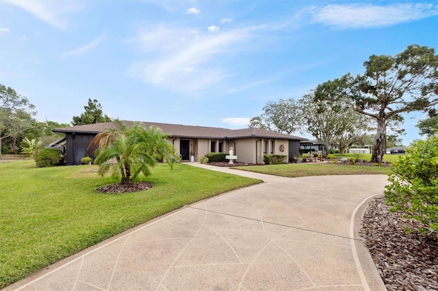 ranch-style home with a front yard, curved driveway, and stucco siding