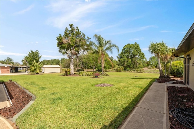 view of yard