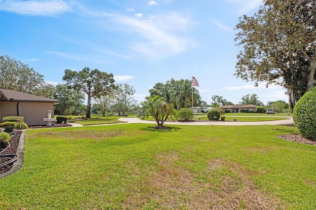 view of yard