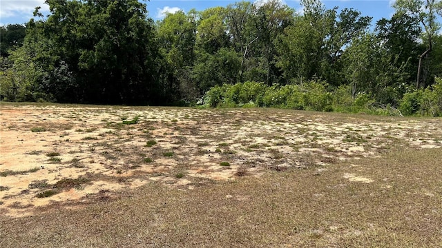 214 Brook Ln, Polk City, FL 33868 - view of landscape