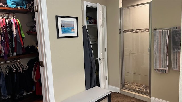214 Brook Ln, Polk City, FL 33868 - bathroom with a spacious closet and a shower stall