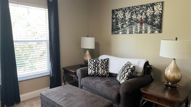 214 Brook Ln, Polk City, FL 33868 - carpeted living room featuring plenty of natural light and baseboards