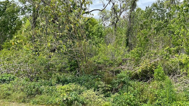 214 Brook Ln, Polk City, FL 33868 - view of landscape with a wooded view