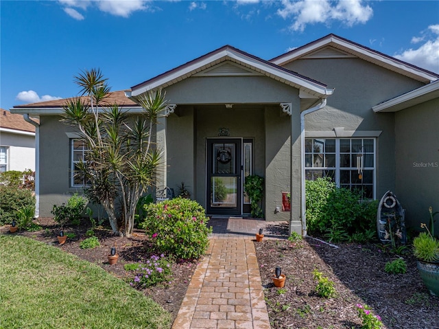 view of exterior entry featuring stucco siding
