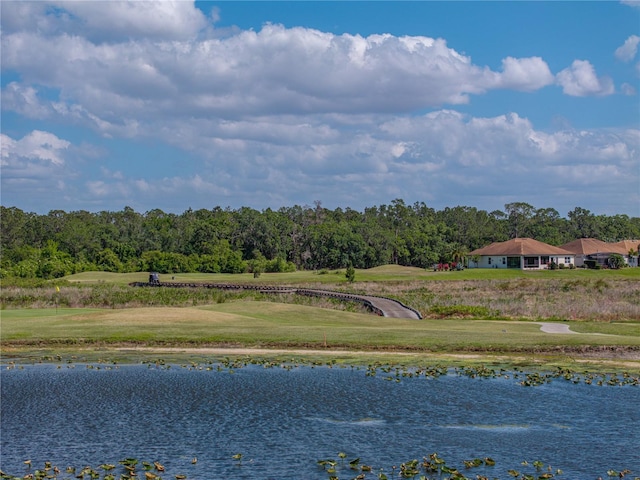 property view of water