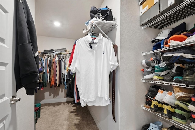 spacious closet featuring carpet floors